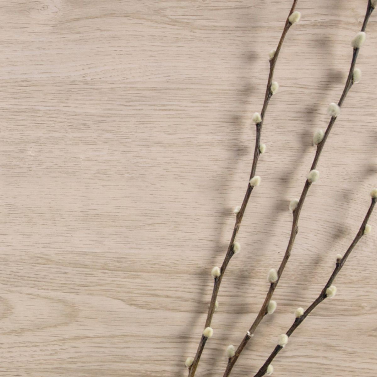 Vareprøve: Oak Minimal kontaktplast