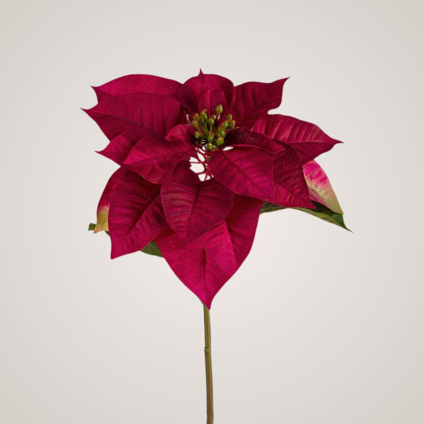 Kunstig julestjerne fra Mr. Plant, 70 cm høy med dype røde blader.