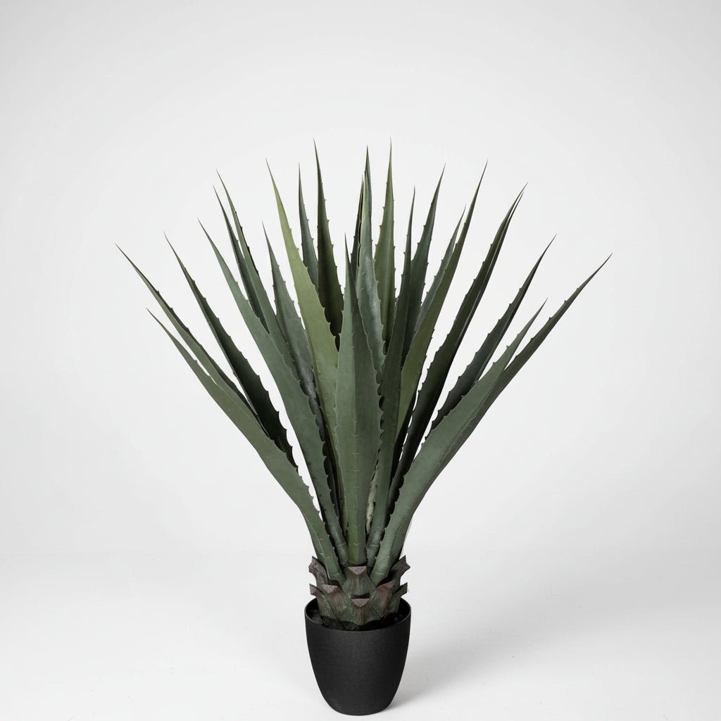 Mr. Plant agave - Lindas Dekor