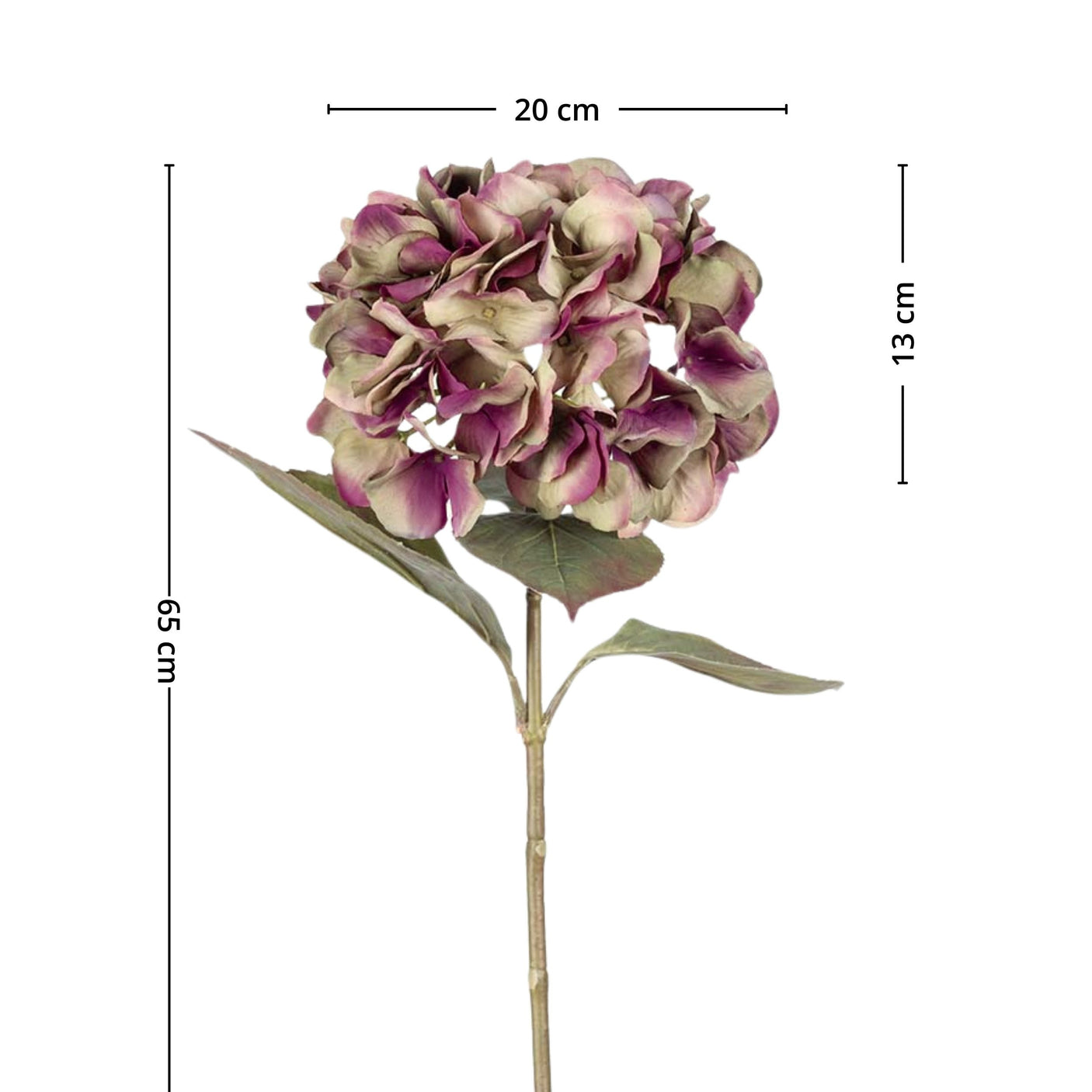 Mr. Plant Hortensia lilla/grønn, 65 cm