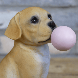 Bubblegum Dog