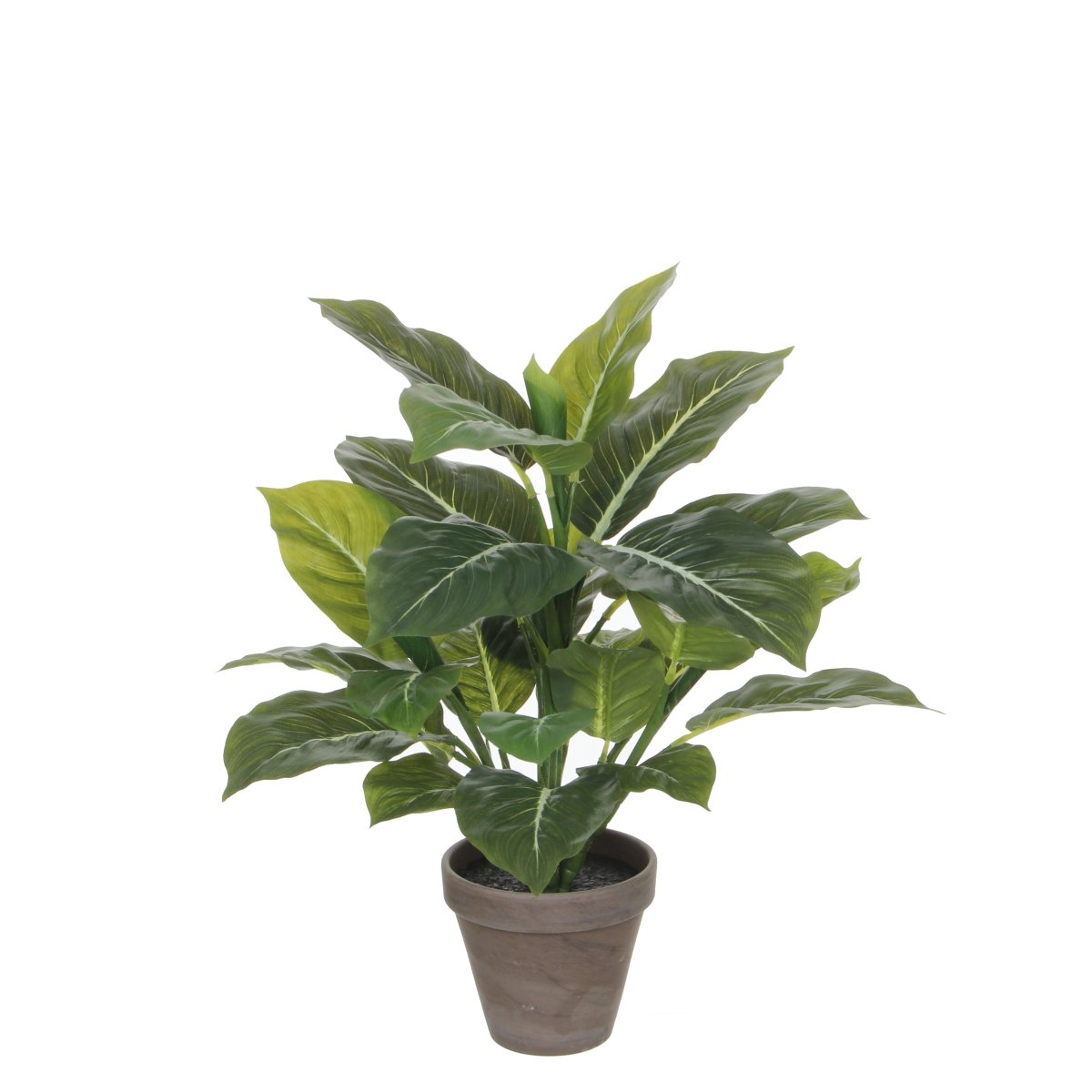 Evergreen kunstig plante grønn grå 49 cm med potte - Lindas Dekor