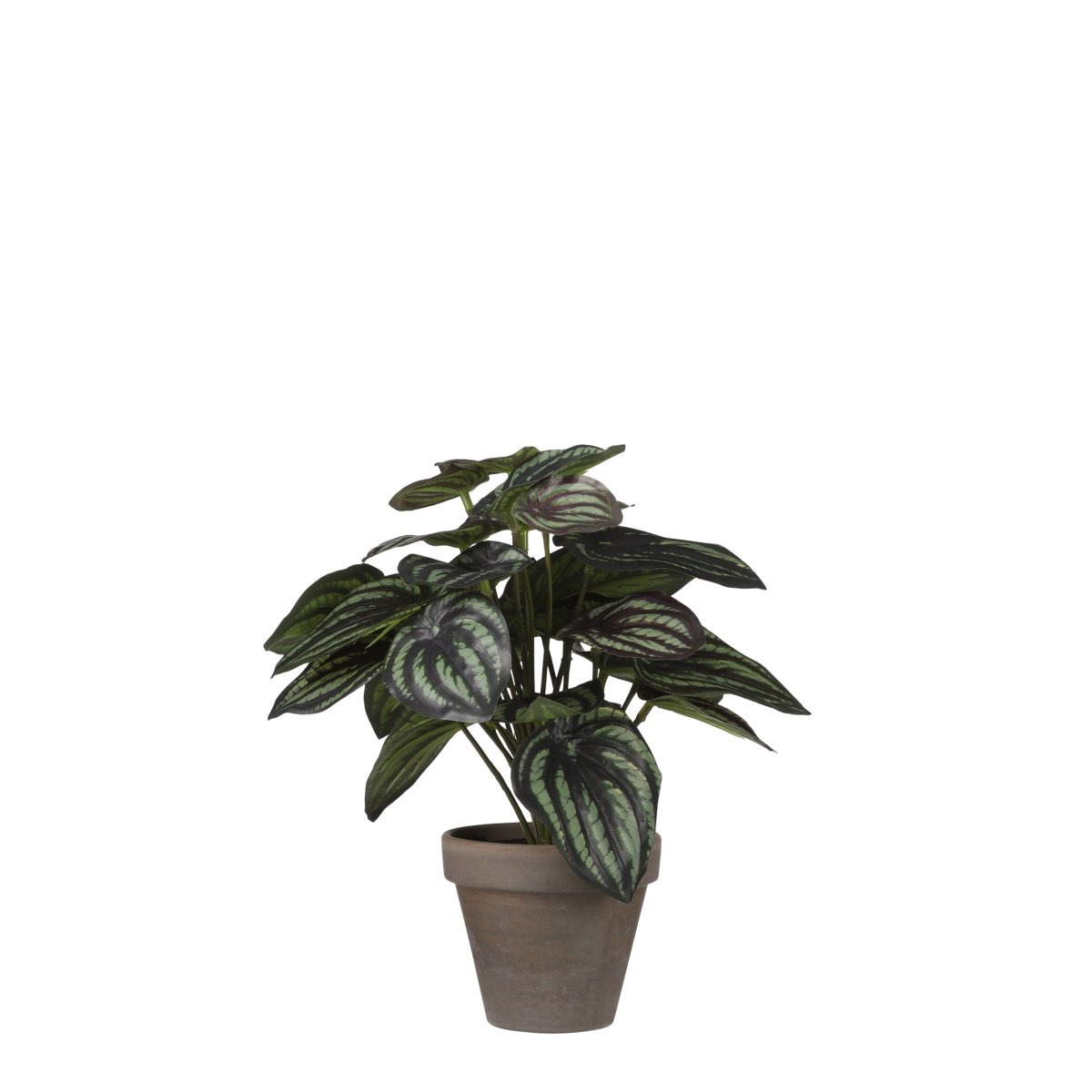 Peperomia kunstig plante grønn grå med potte - Lindas Dekor