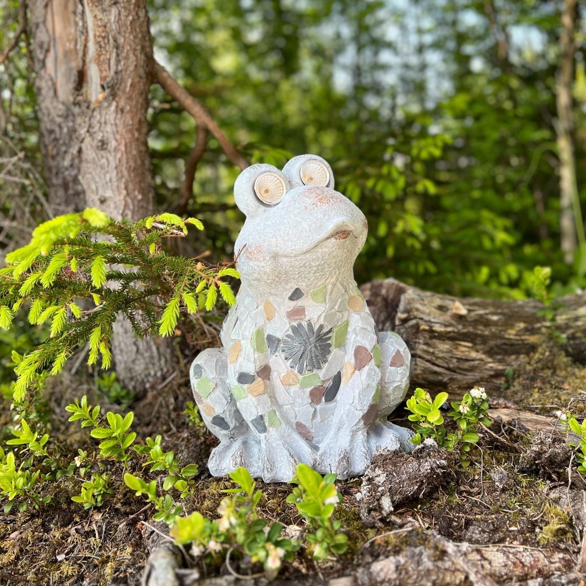 Frosk med solcelle - Lindas Dekor