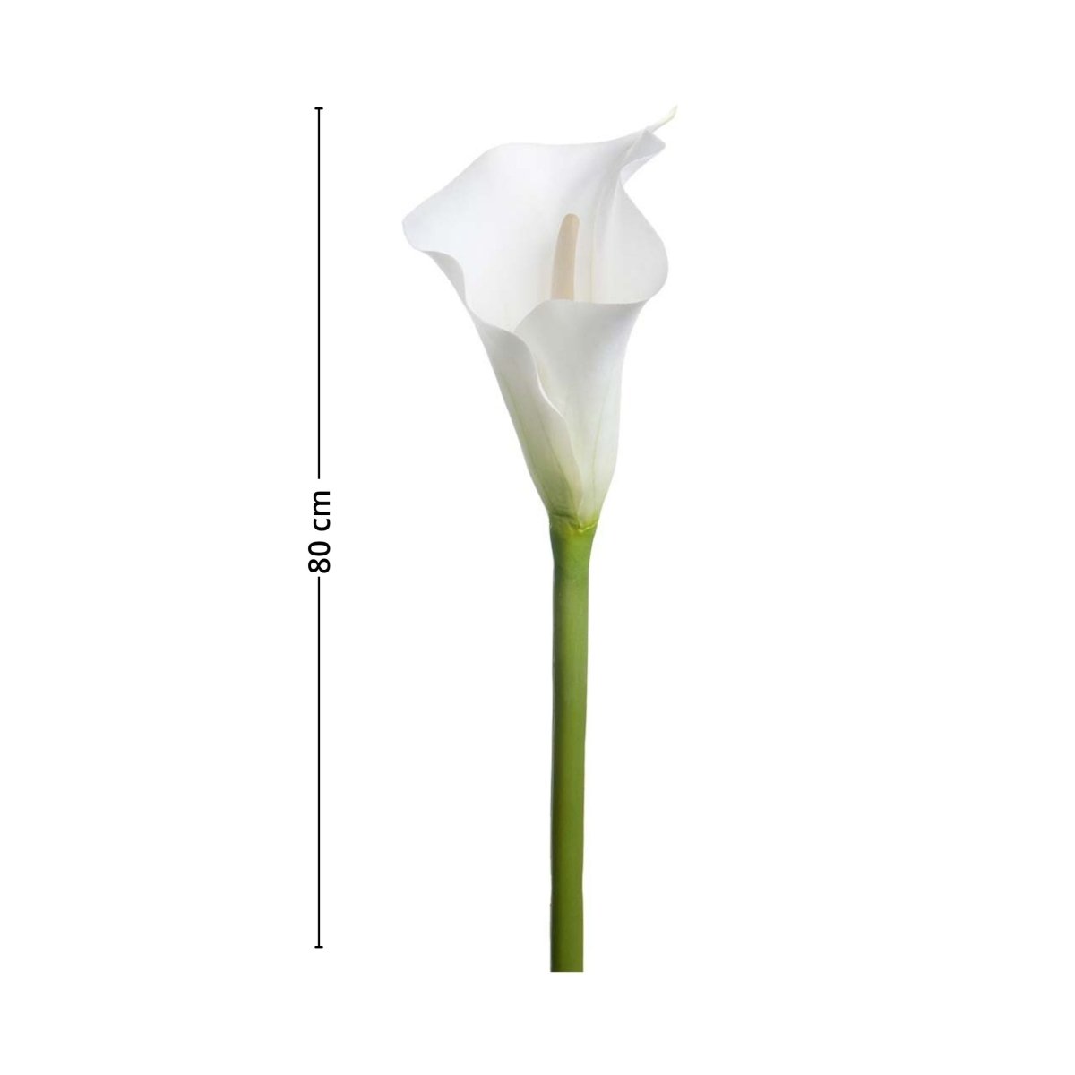 Mr. Plant calla lilje er et utmerket alternativ til å friske opp hjemmet med.