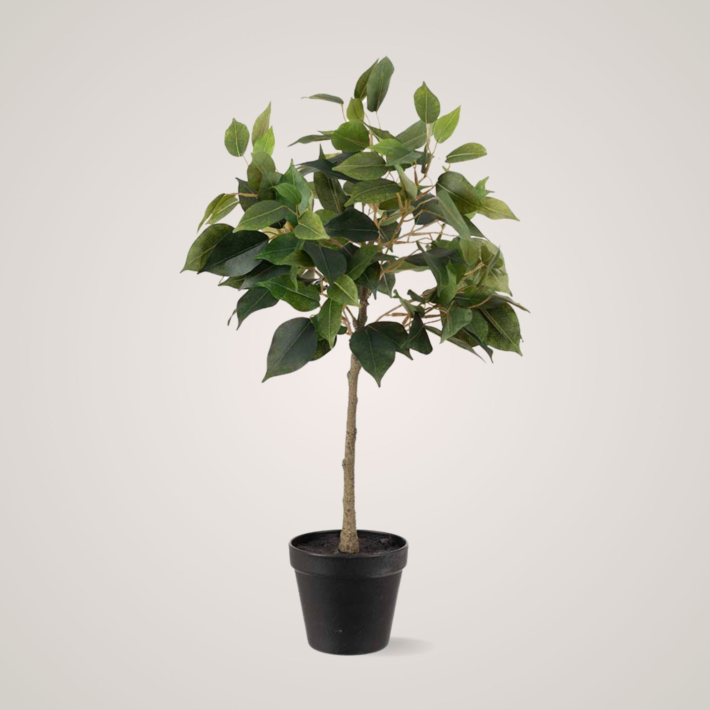 Naturtro kunstig plante i sort plastpotte, realistisk trestamme og bladverk. Perfekt som dekor i hjemmet.