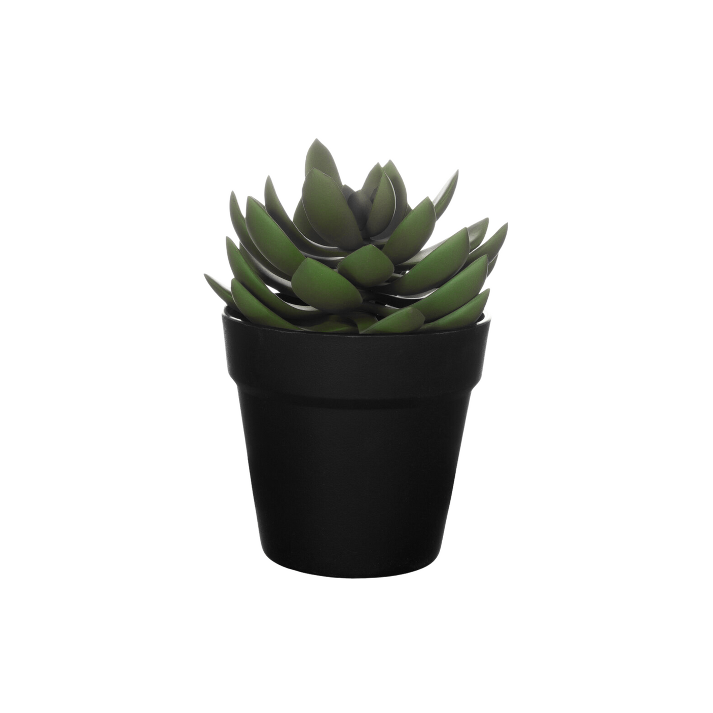 Kunstig sukkulent i sort potte, stilrent presentert mot hvit bakgrunn.