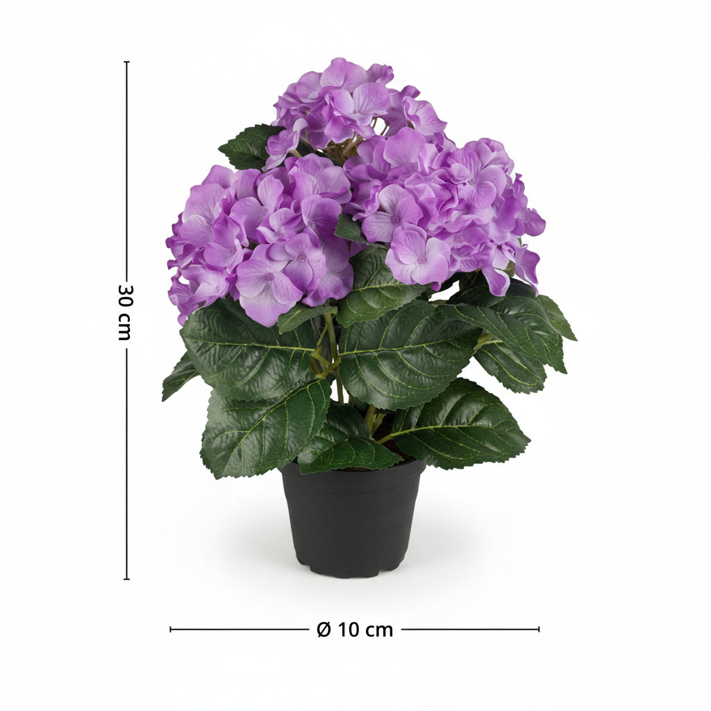 Mr. Plant hortensia frisker opp hjemmet naturlig uten behov for vanning eller sol.