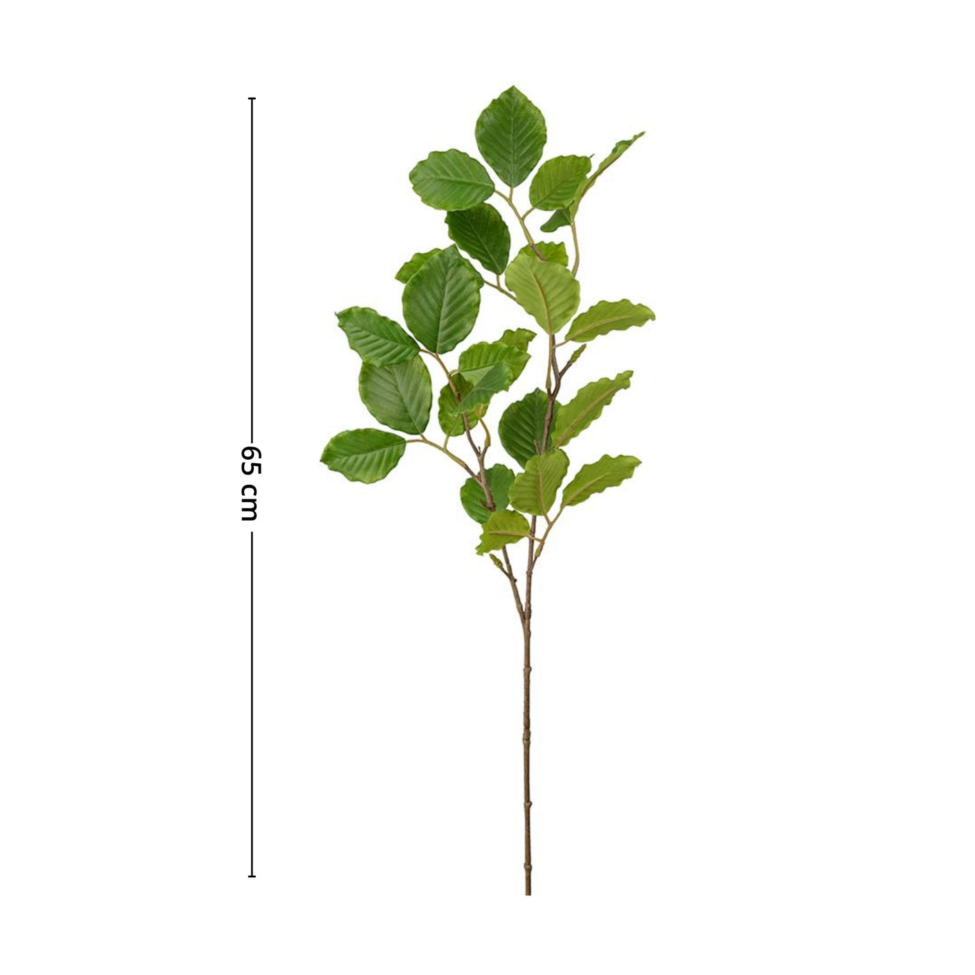 Mr. Plant bøk er en elegant og frisk plante til å skape liv i hjemmet. 65 cm