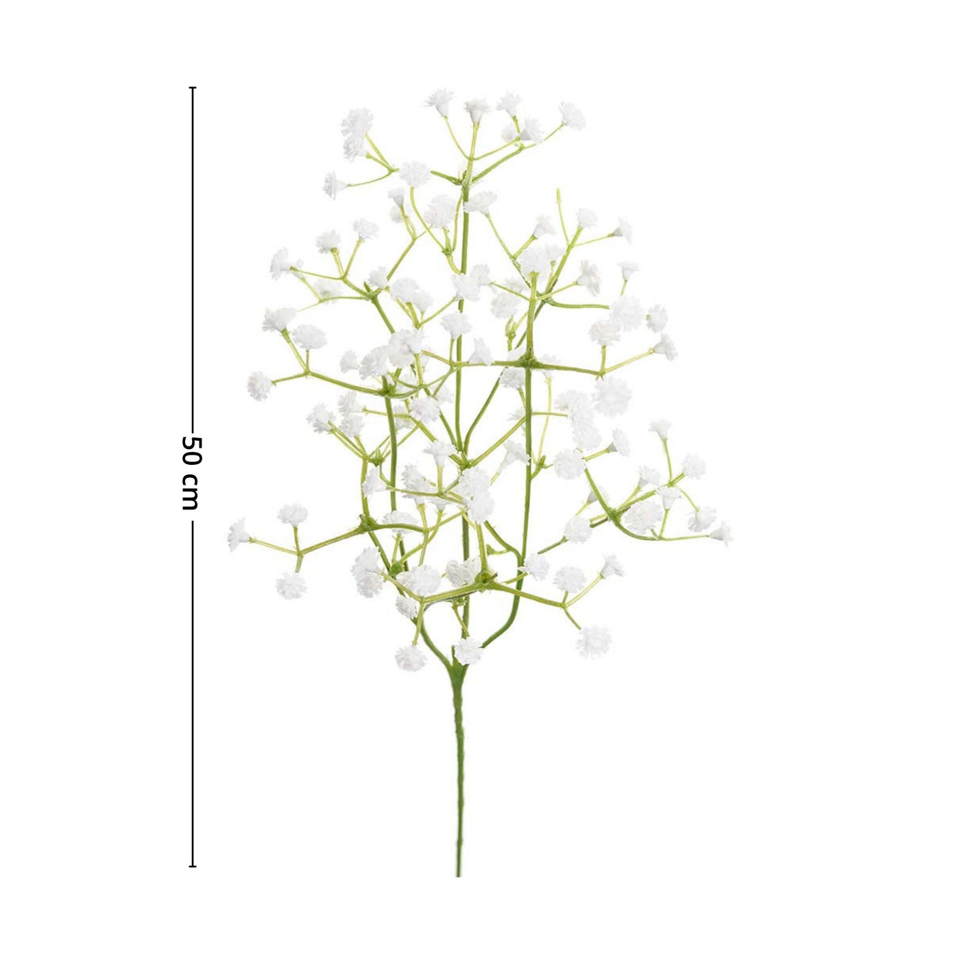 Mr. Plant brudeslør egner seg utmerket til å friske opp stemningen i et bryllup, en konfirmasjon eller i hjemmet.