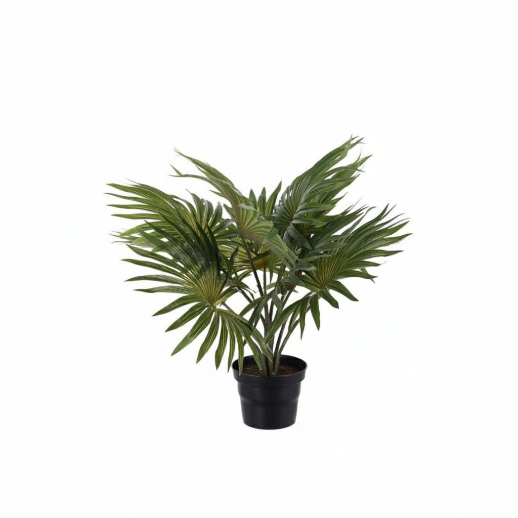 Naturtro kunstig palme i sort potte fra Lindas Dekor, perfekt som grønn dekor i hjemmet.