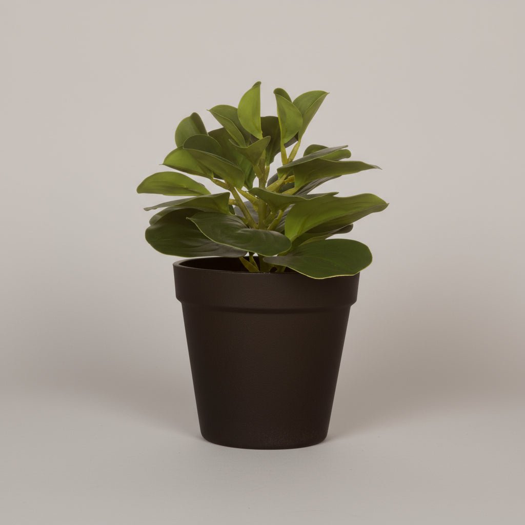 Kunstplante sukkulent potte 15 x 21 cm - Lindas Dekor