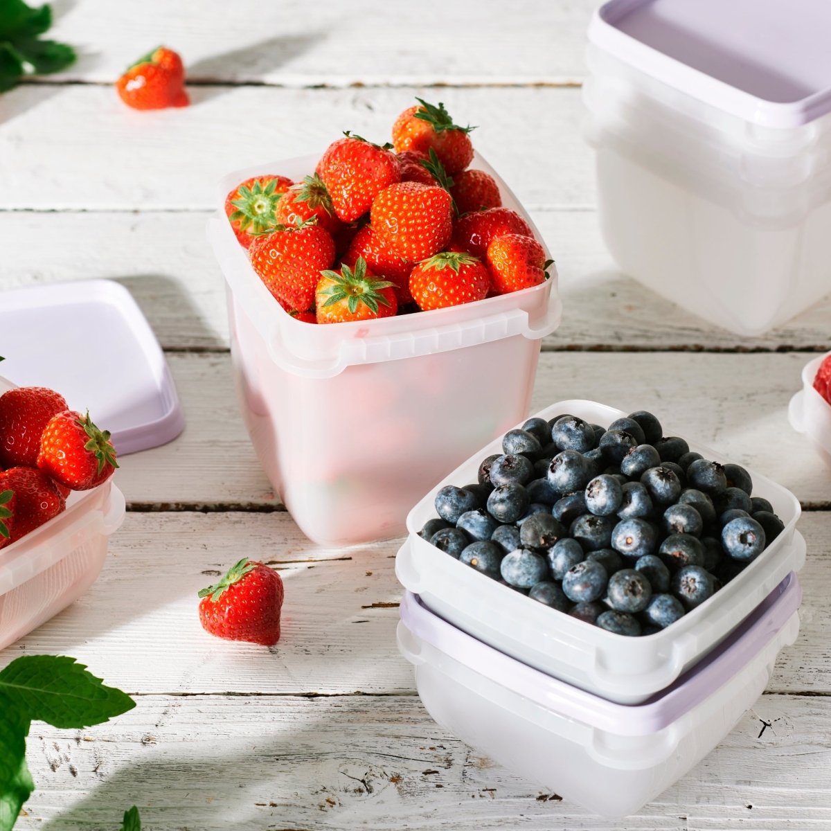 5 - pk SmartStore™ Frost fryseboks 0,5 L - Lindas Dekor