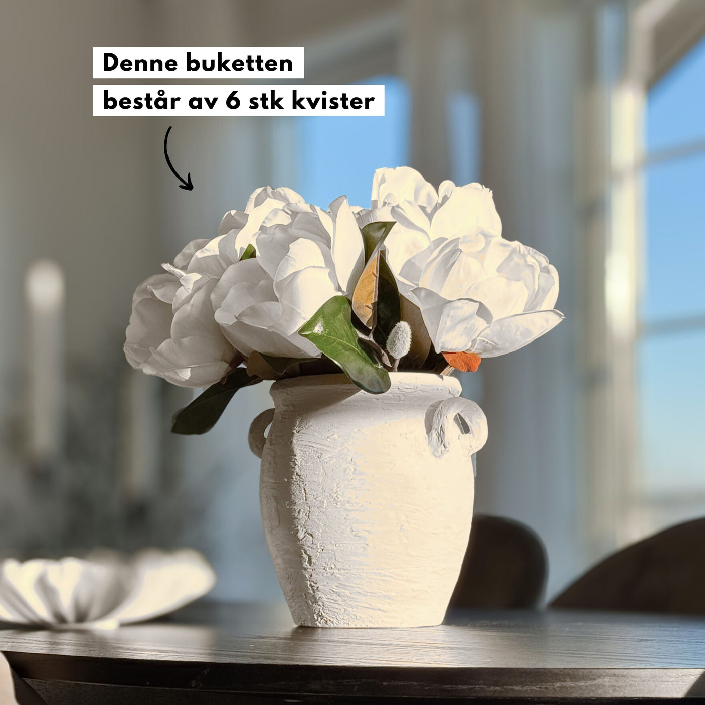 Mr. Plant Magnolia 50 cm