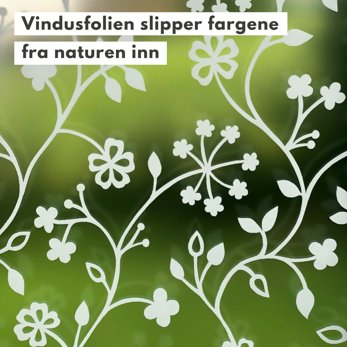 Static Tord vindusfolie