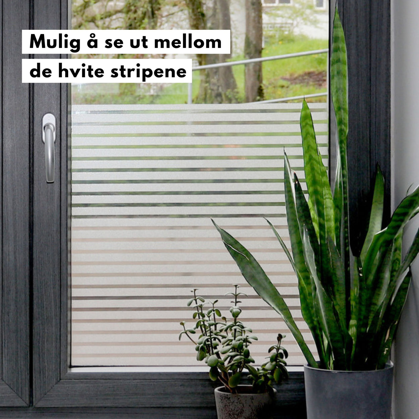 Static Clarity vindusfolie