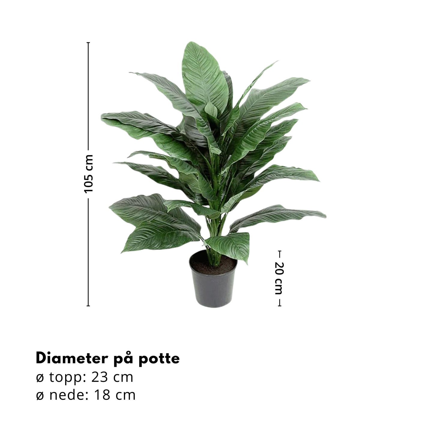 Mr. Plant Spathiphyllum 105 cm