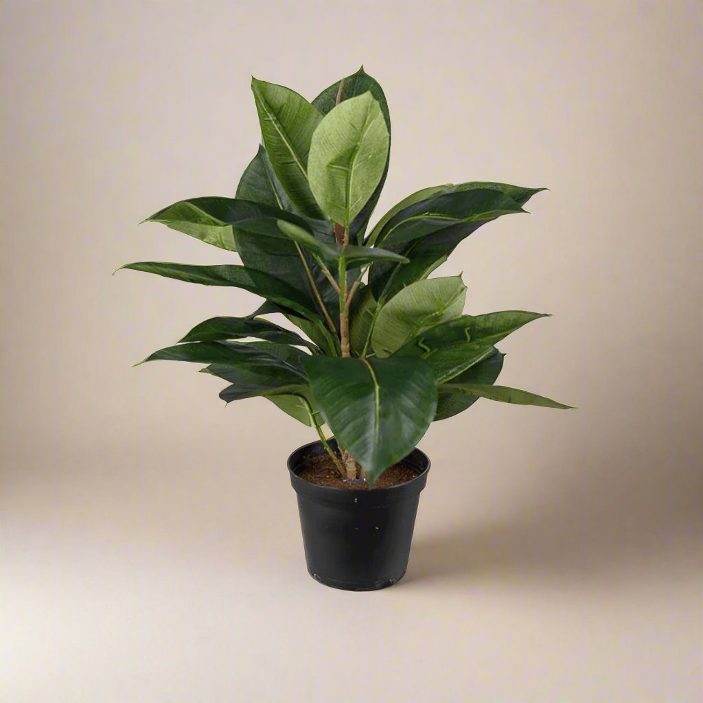 Kunstig Fikus Robusta-plante 37 cm høy i sort plastpotte, vist mot lys beige bakgrunn.