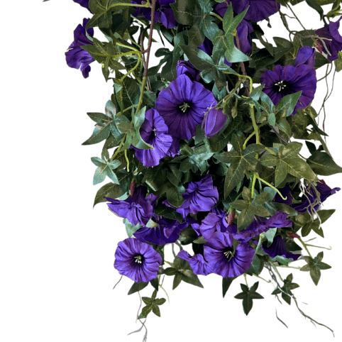 Mr. plant blomst for dagen - Lindas Dekor