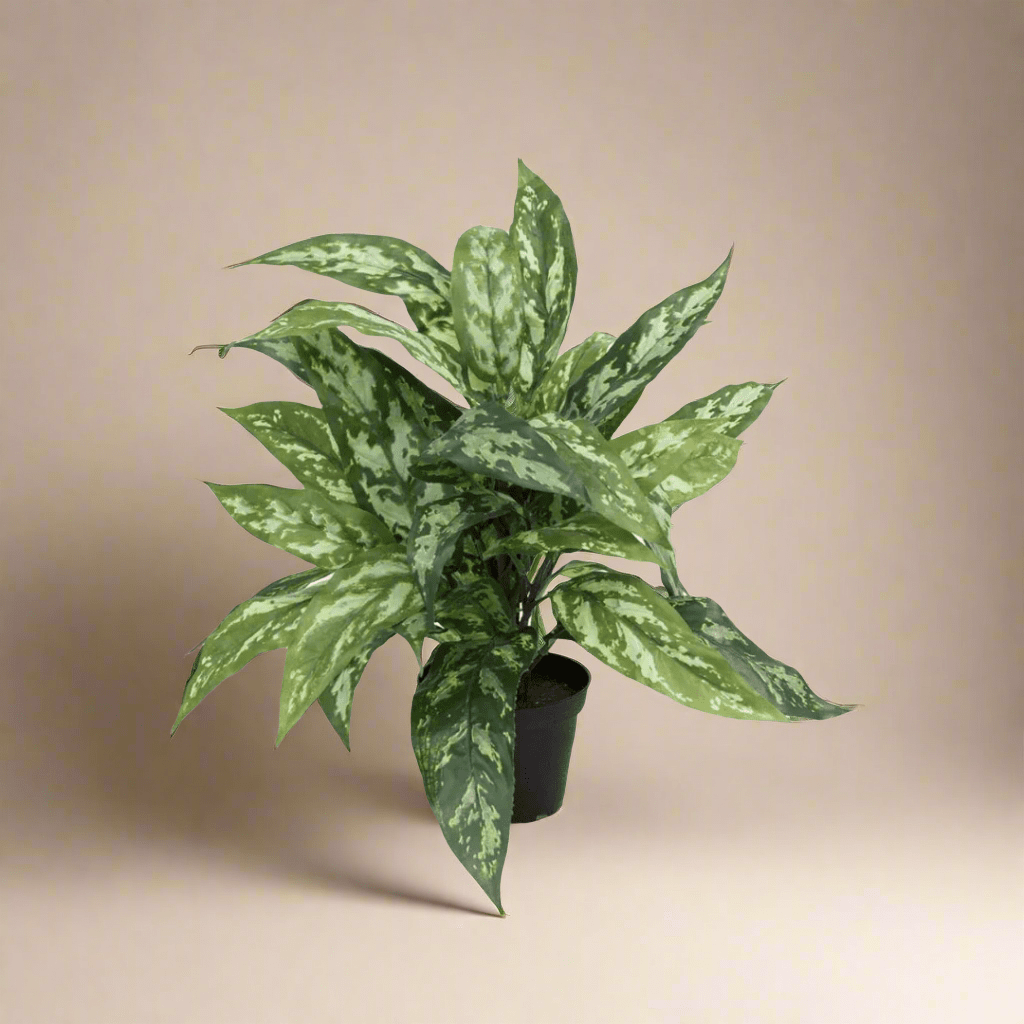 Mr. Plant Aglonema 35 cm - Lindas Dekor Kunstige planter
