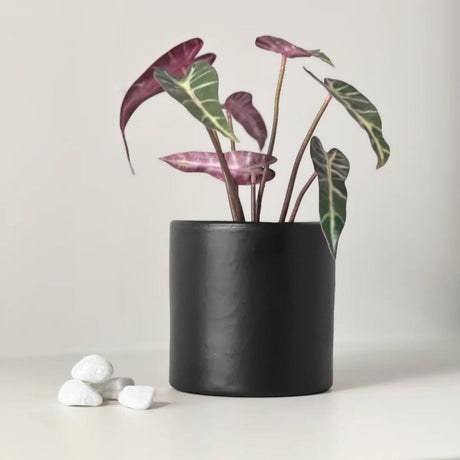 Kunstige planter