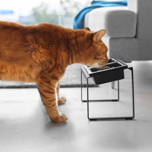 Keramisk hundeskål med slow feeder struktur og vannskål i stativ