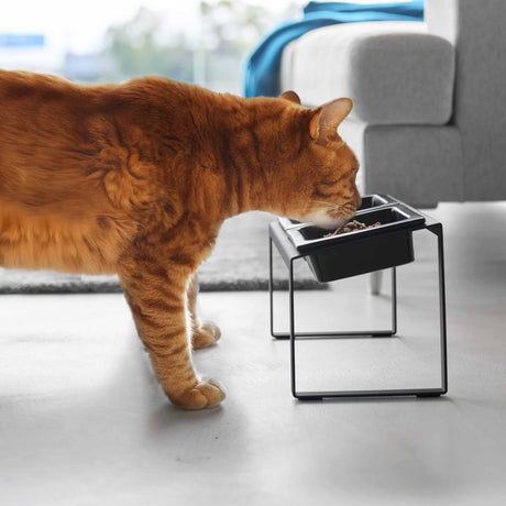 Keramisk hundeskål med slow feeder struktur og vannskål i stativ