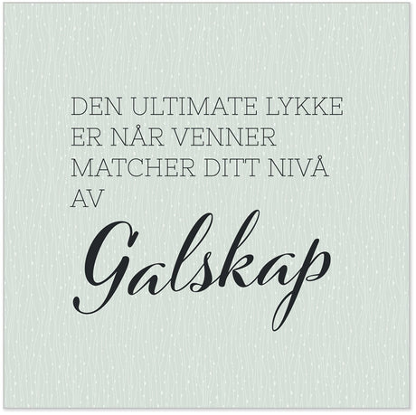 Pakke med 20 stk servietter til tapas, kakebord og servering