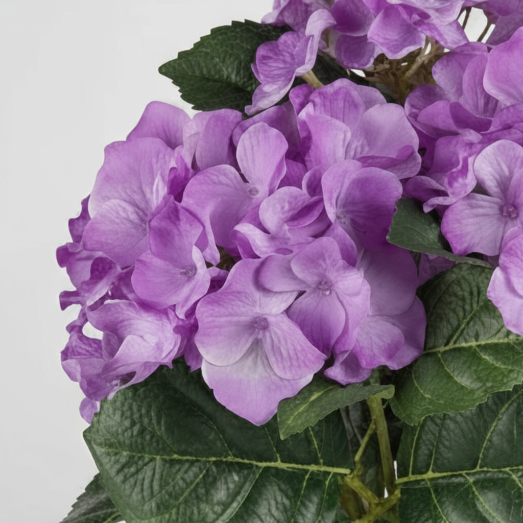 Kunstig lilla hortensia i sort potte fra Mr. Plant på stuebord