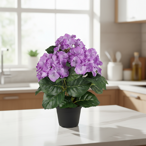 Dekorativ hortensia med lilla blomster og grønne blader