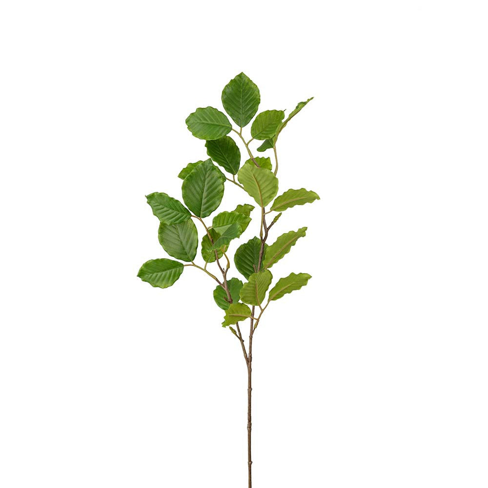 Naturtro kunstig bøk-plante fra Mr. Plant er perfekt for vedlikeholdsfri interiørdekor.