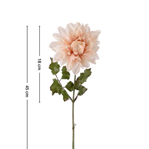 Mr. Plant Dahlia 45 cm