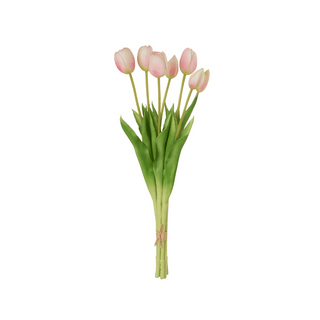 Tulipan, rosa 7 stk