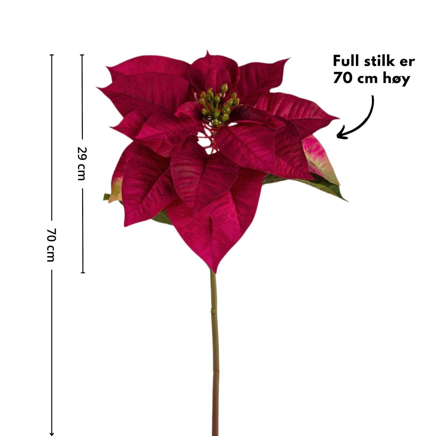Stor julestjerne 70 cm i klassisk rødfarge, naturtro plante fra Mr. Plant.