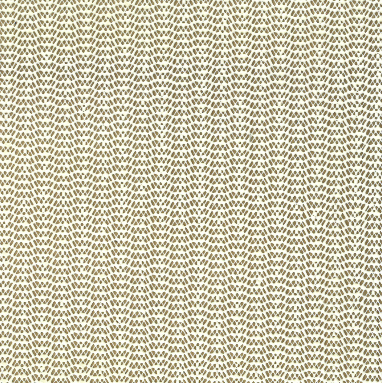 Skuffeinnlegg, Creme