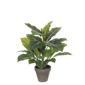 Evergreen kunstig plante grønn grå 49 cm med potte - Lindas Dekor