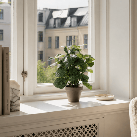 Pilea kunstig plante grønn med potte 35 x 25 cm - Lindas Dekor Kunstige planter