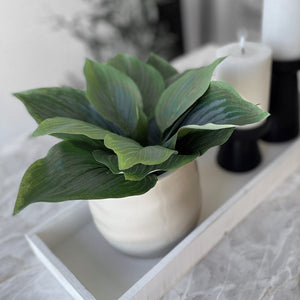 Mr Plant Leaf lilja, 20 cm