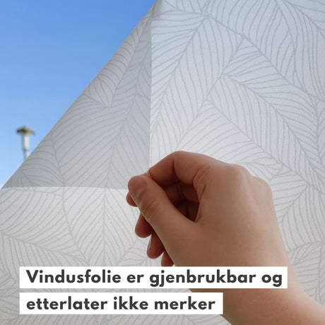 Montering av bladmotiv vindusfolie – enkel påføring med vann