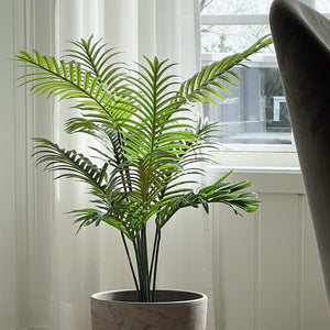 Herr Plant Palm 80 cm