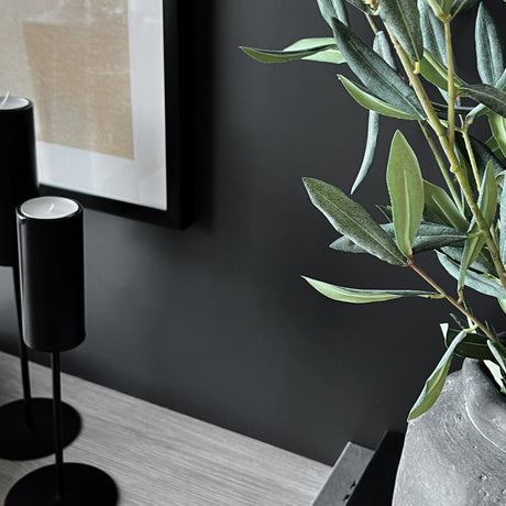 Sort foliert vegg med moderne interiør og grønne planter i kontrast