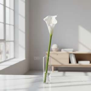 Mr. Plant calla lilje