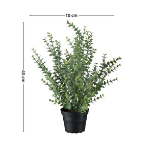 Denne nydelige eucalyptusplanten i plast er en utmerket måte å fornye hjemmet på uten behov for sollys eller vann. 