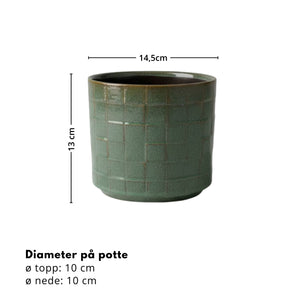 Skog mosaikk potte ø 12 cm