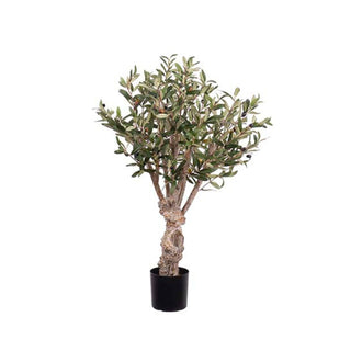 Mr. Plant Oliventre 80 cm