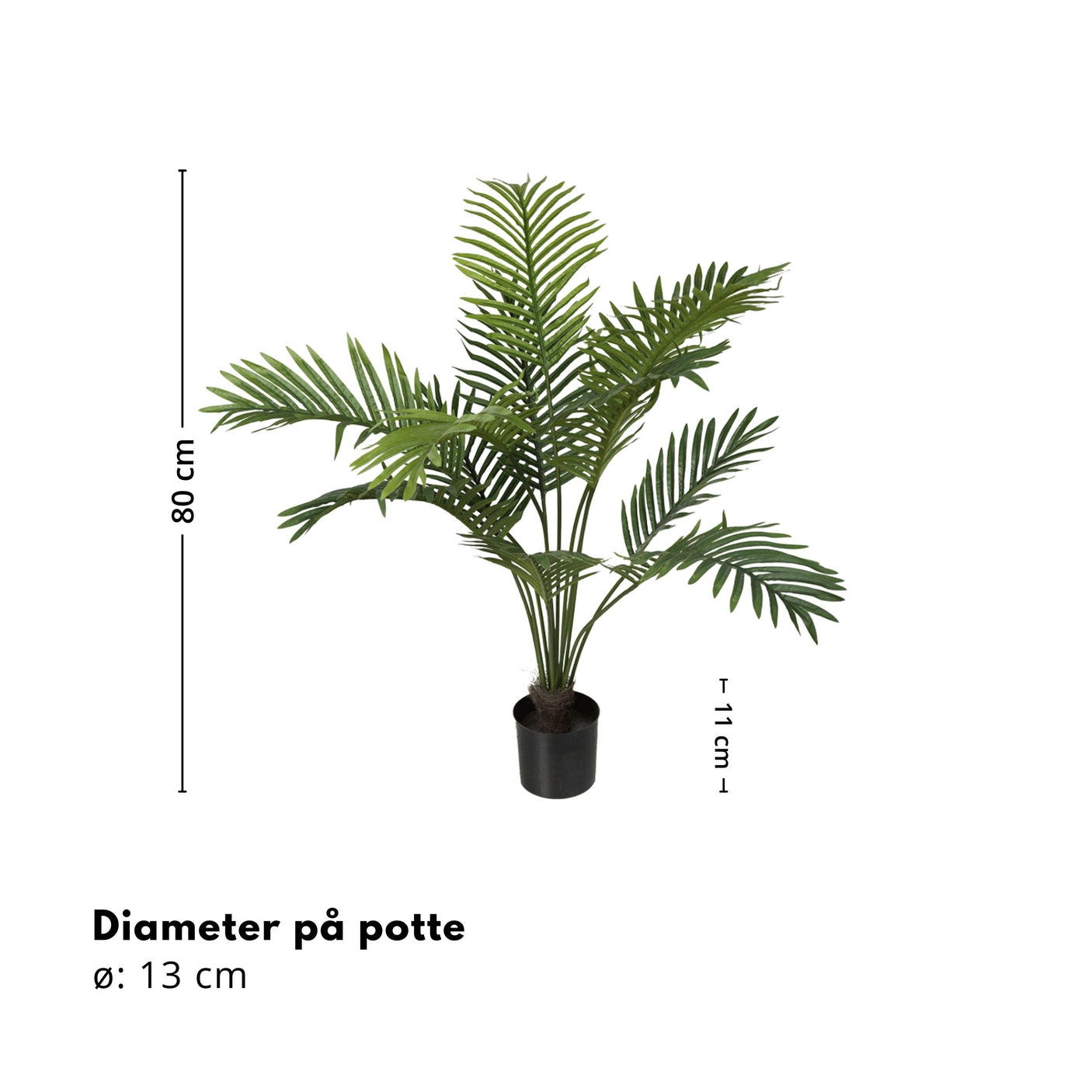 Mr. Plant Palme 80 cm