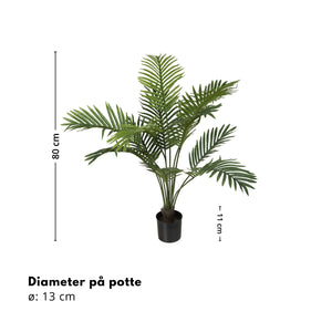 Herr Plant Palm 80 cm