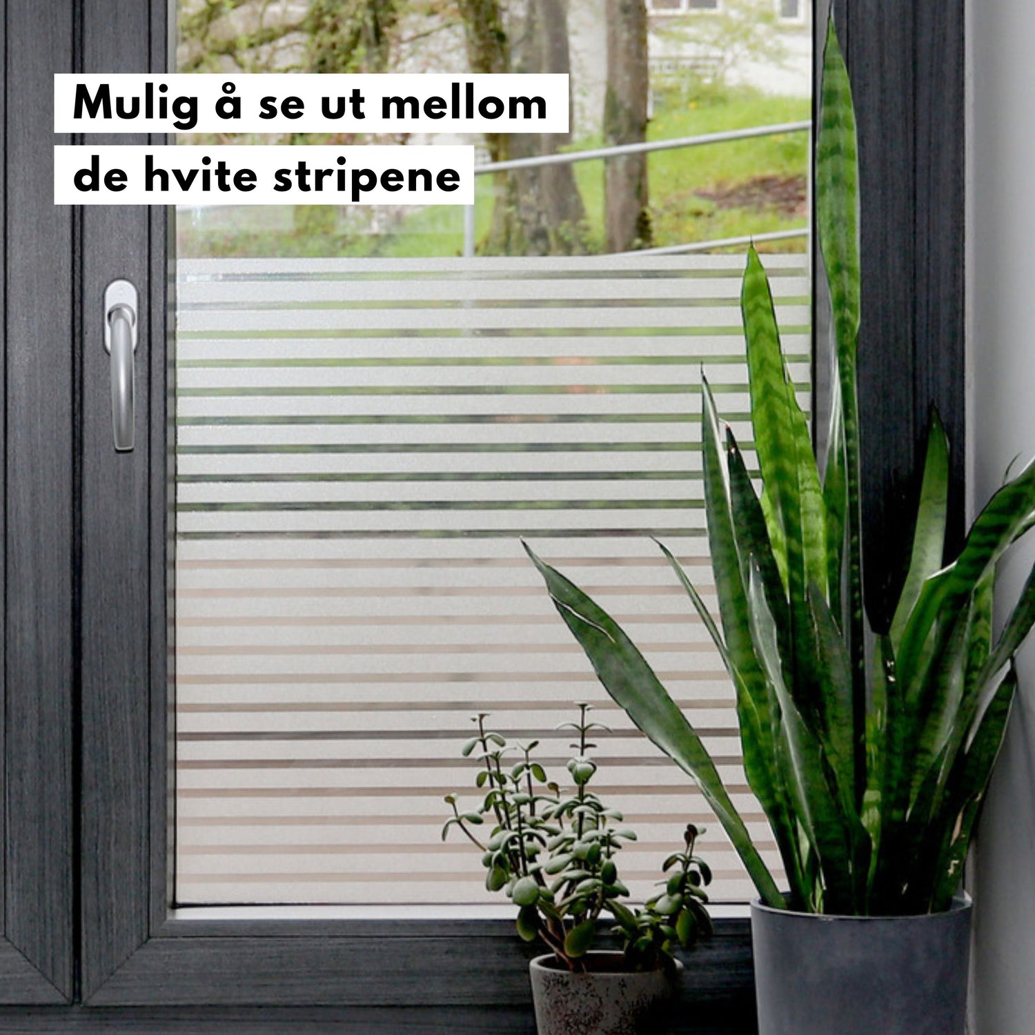 Vindusfolie med matt finish på glassdør mellom rom
