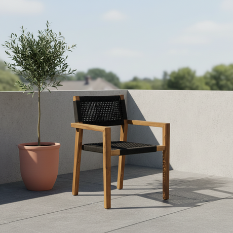 Anzio dining chair vist forfra med armlener i akasie