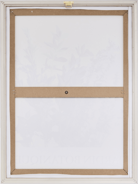 Inrammat lärredsbild med botaniskt motiv Cecilia 45 x 60 cm – produktbild 2